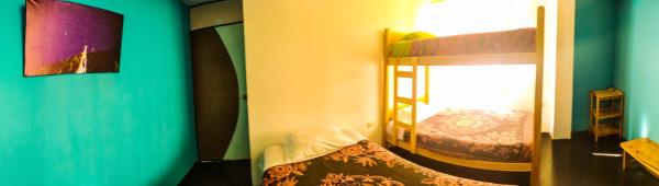 Mixed Dormitory Room